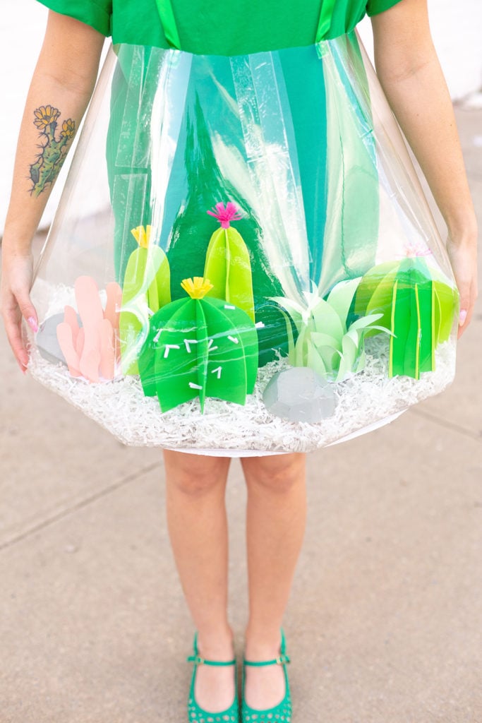 costume original terrarium plantes vertes succulente