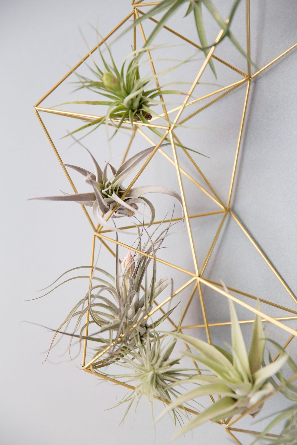 déco végétale laiton suspension murale création idée décoration