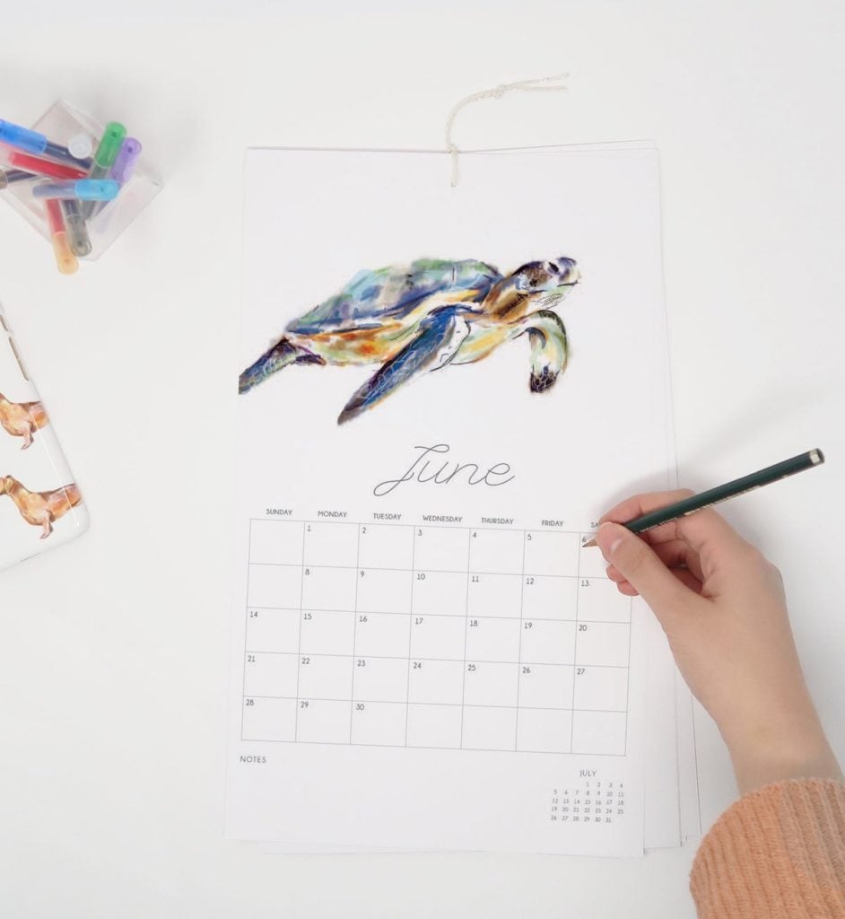 calendrier animaux blanc épuré calligraphie sophistiquée