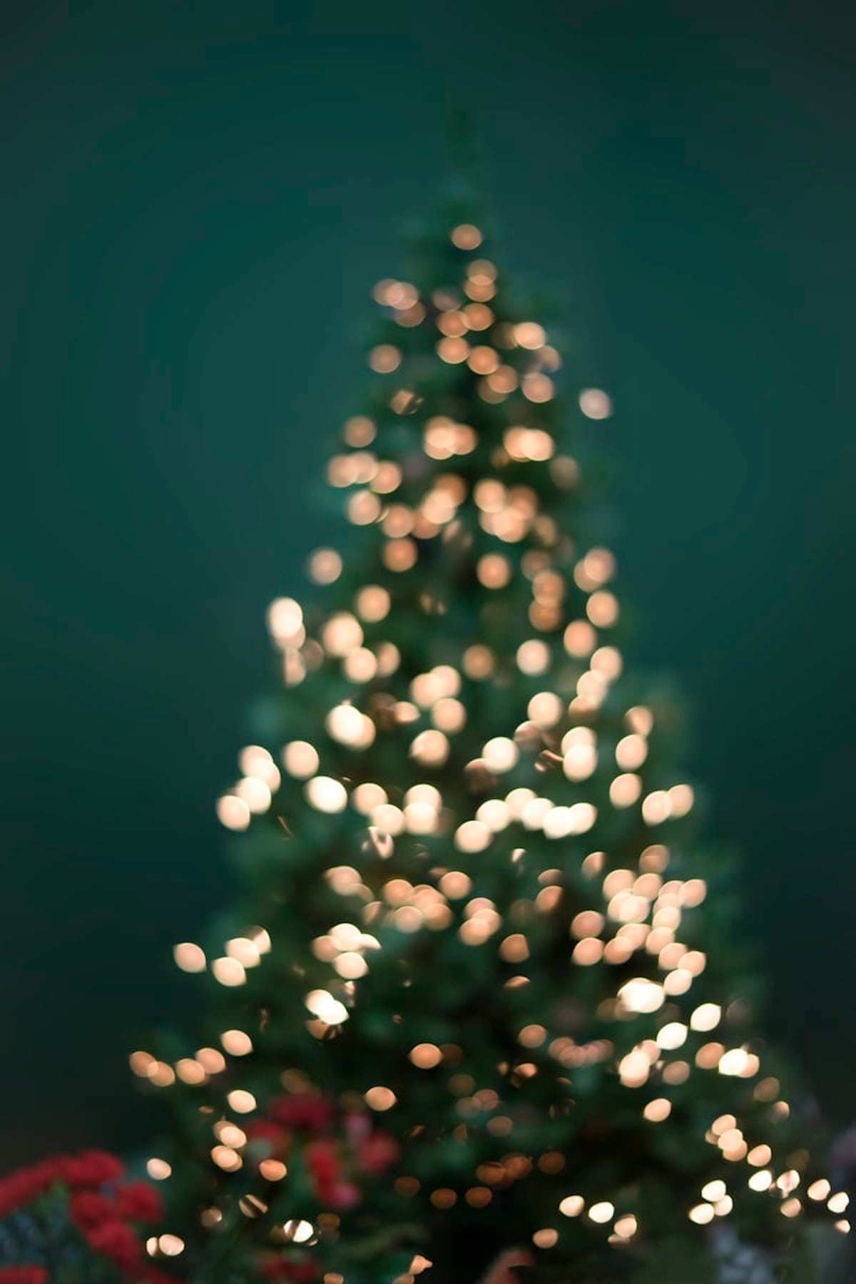 sapin de noël artificiel ou naturel décoration fêtes de fin d année - blog déco - clemaroundthecorner