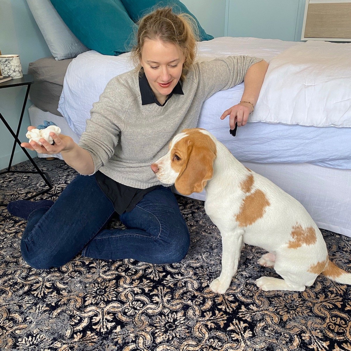 chambre bleu nuance couleur blanc noir moderne design chiot beagle lemon