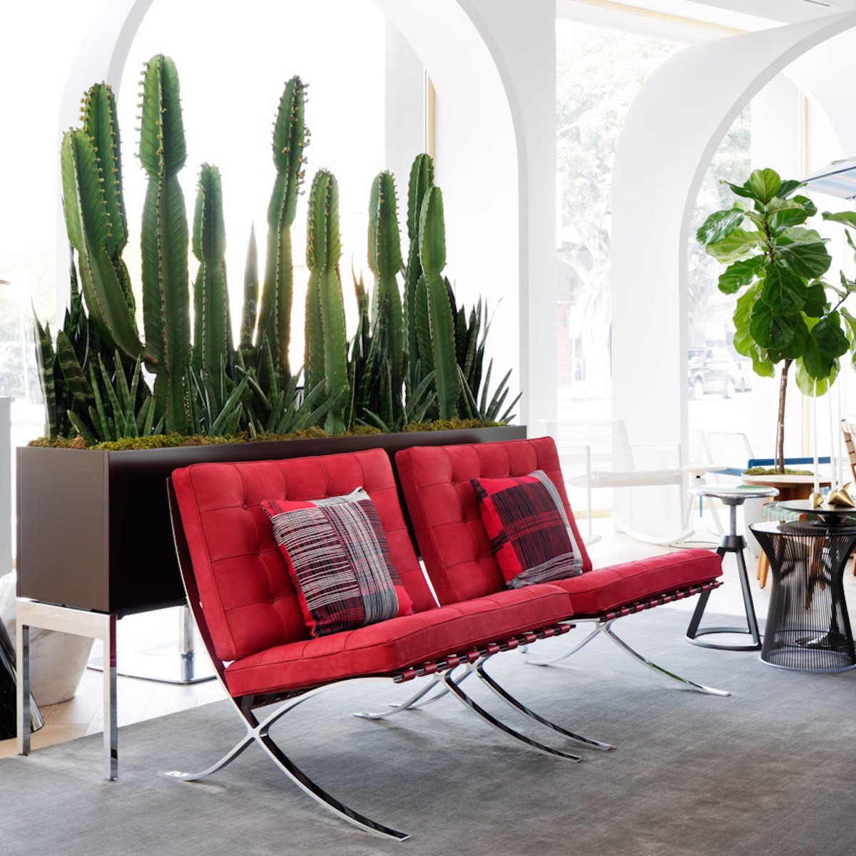 salon design assise cuir rouge pieds inox coussin cactus - blog déco - clematc
