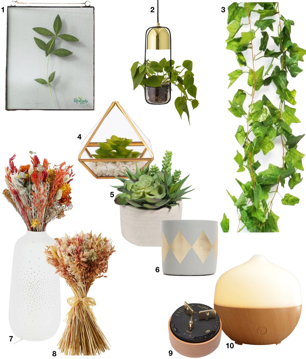 déco végétale plante grimpante vase lumineux plante grasse diffuseur d'huile essentielle
