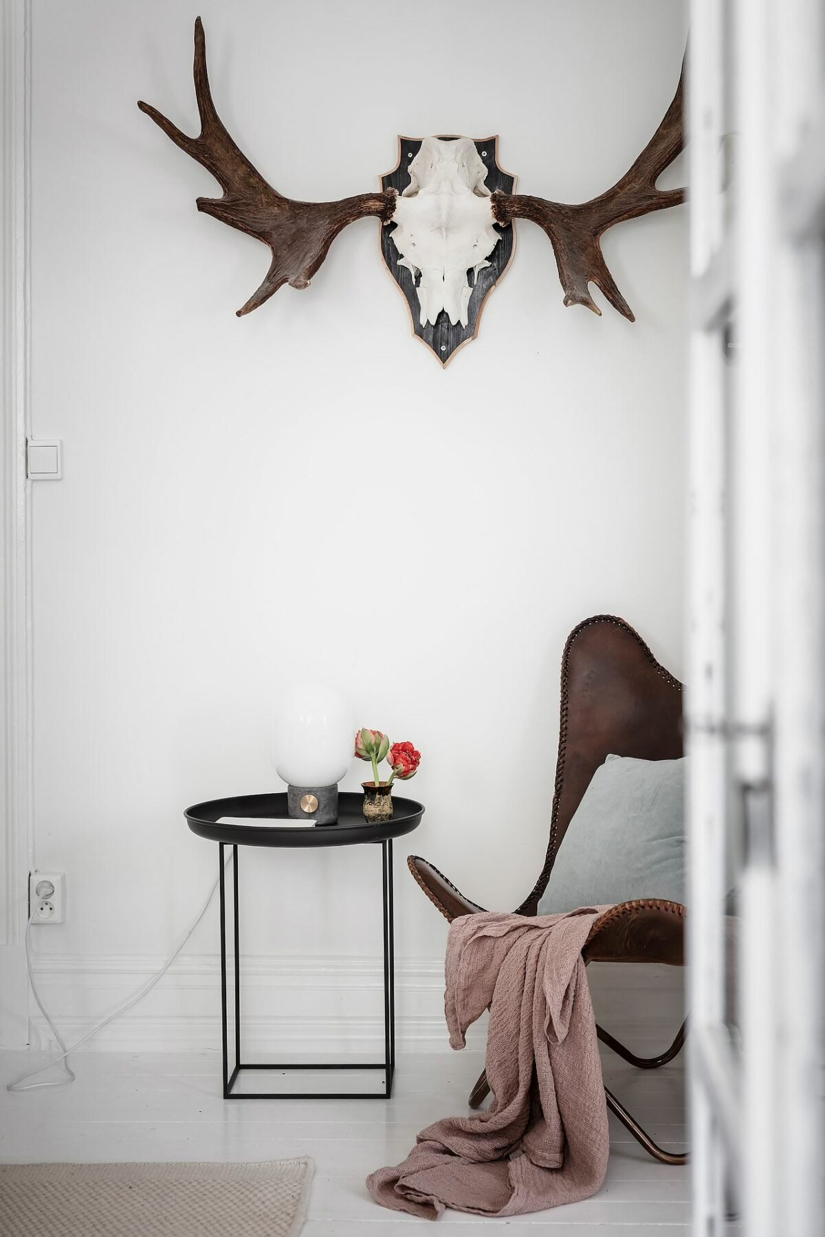 coin cosy salon blanc déco trophée bois cerf fauteuil papillon cuir