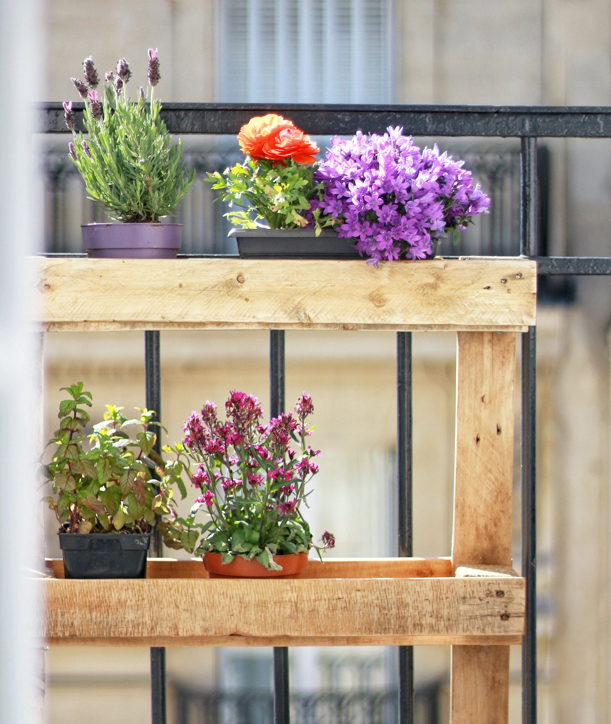 déco extérieure jardinière palettes en bois pots à fleurs