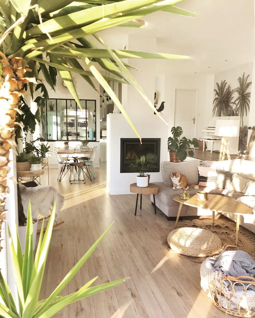 salon déco tropicale table basse bois pouf rond osier papier peint gris végétal