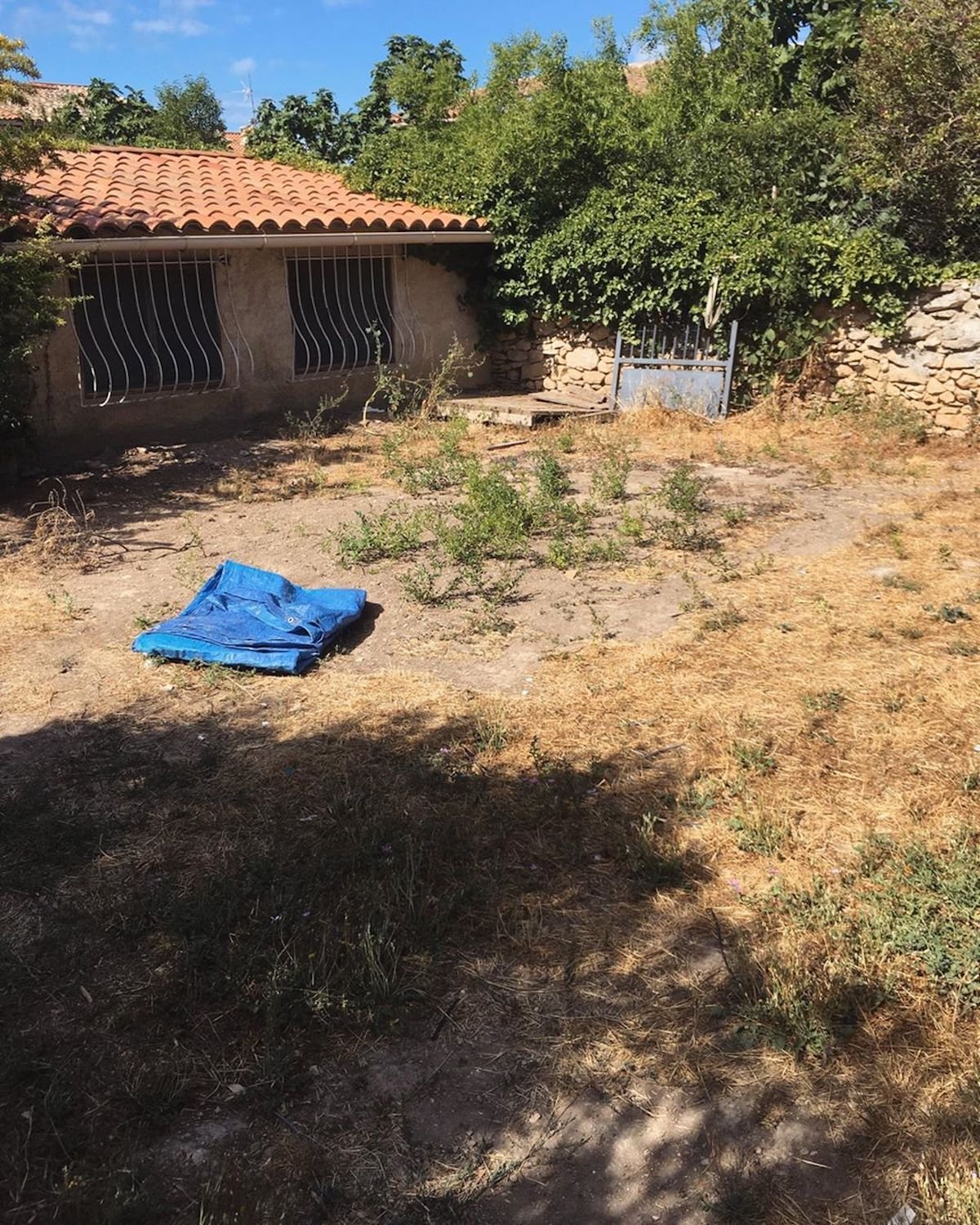 avant après jardin aménagement piscine déco