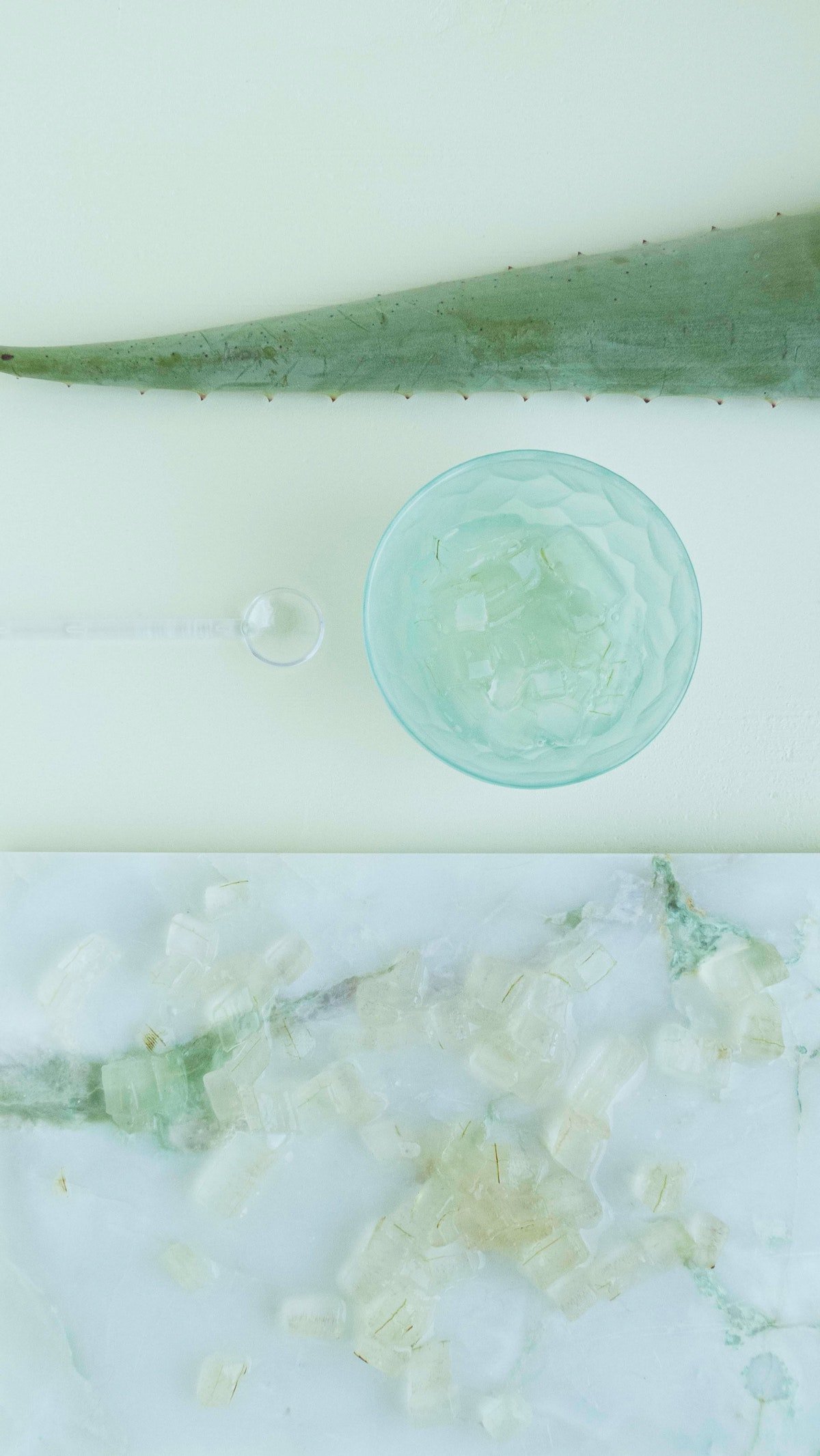 gel naturel bienfaits aloe vera plante verte astuce maison