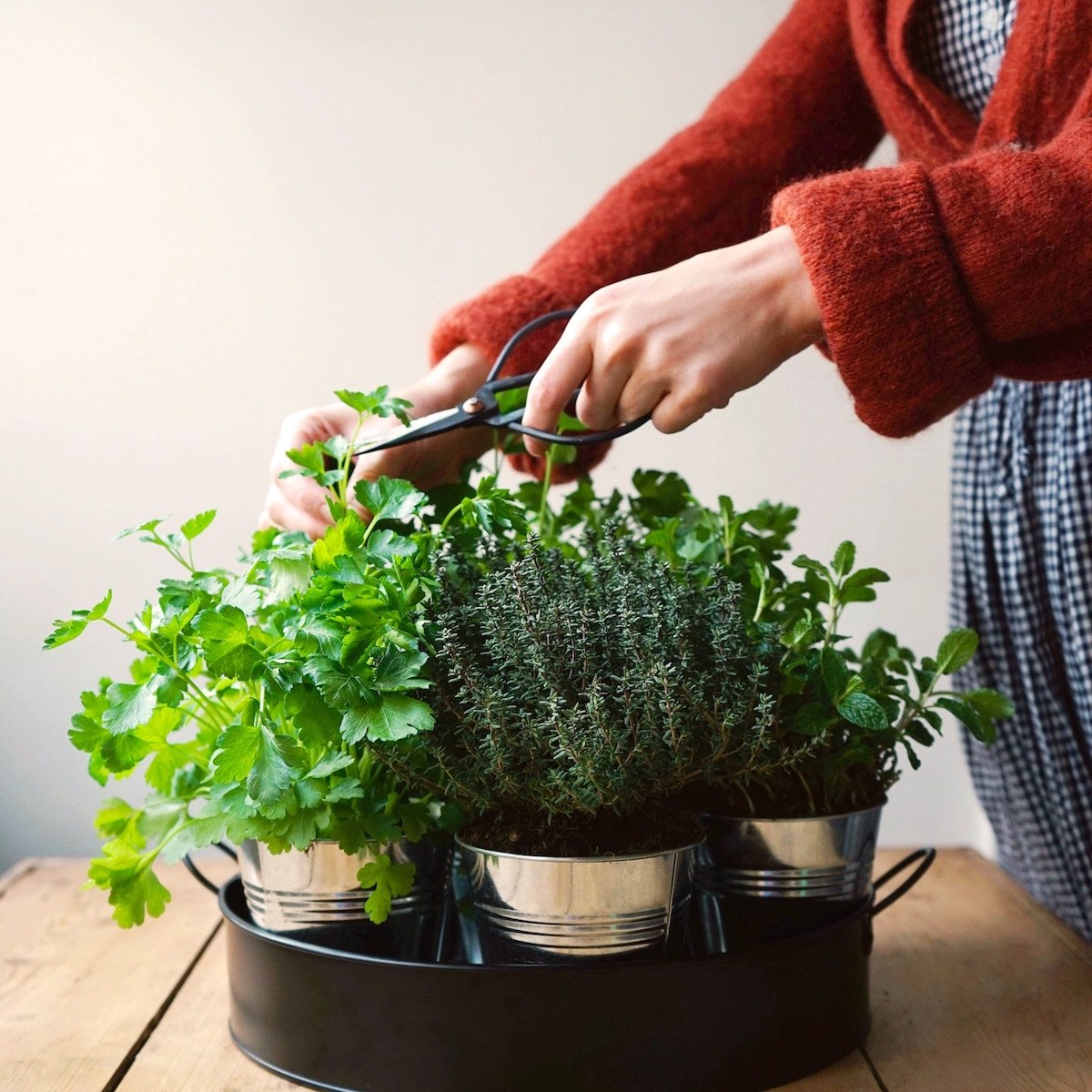 plateau noir de aromates cultiver table bois - blog déco - clemaroundthecorner