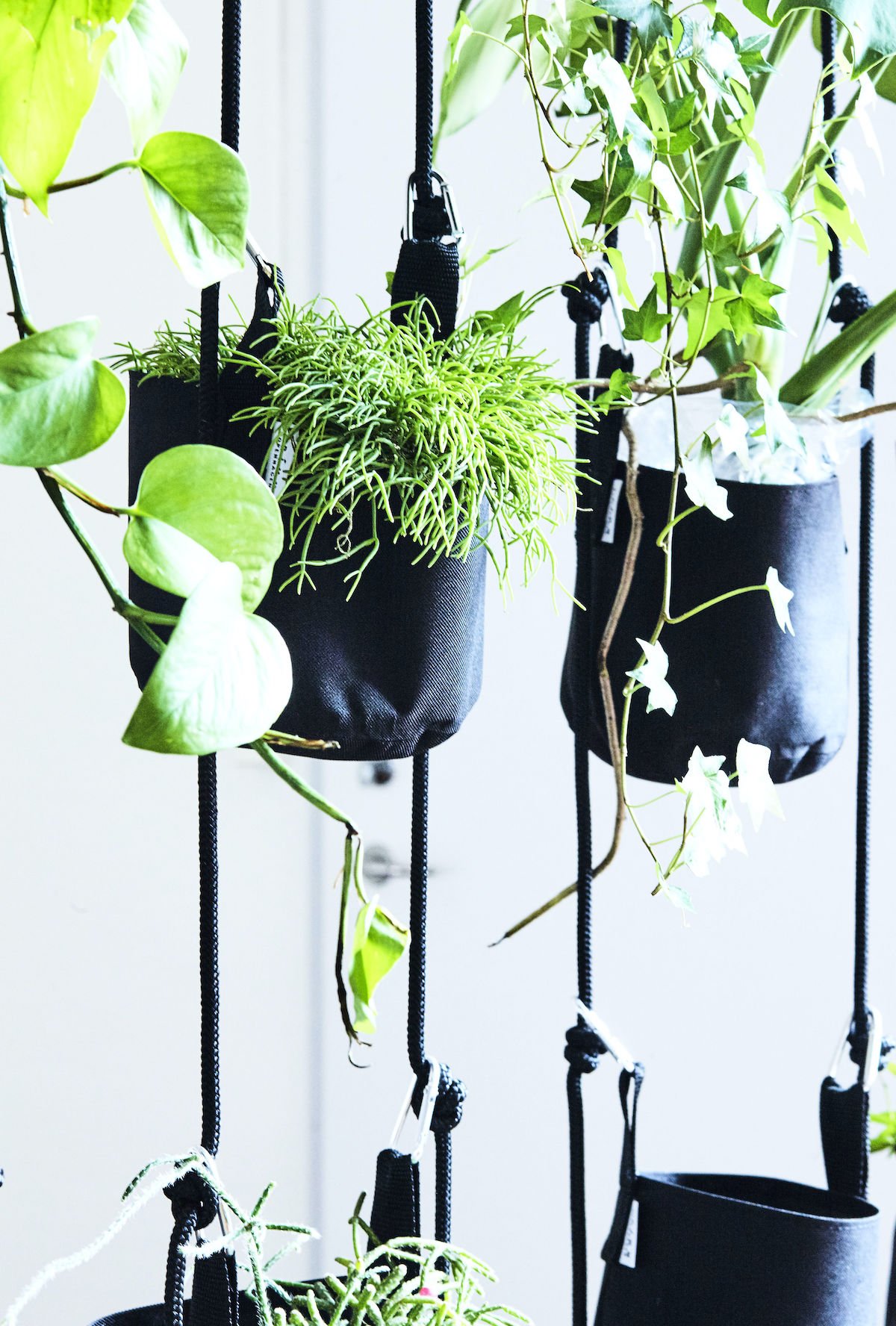 pot suspendu vertical noir - blog déco - clematc