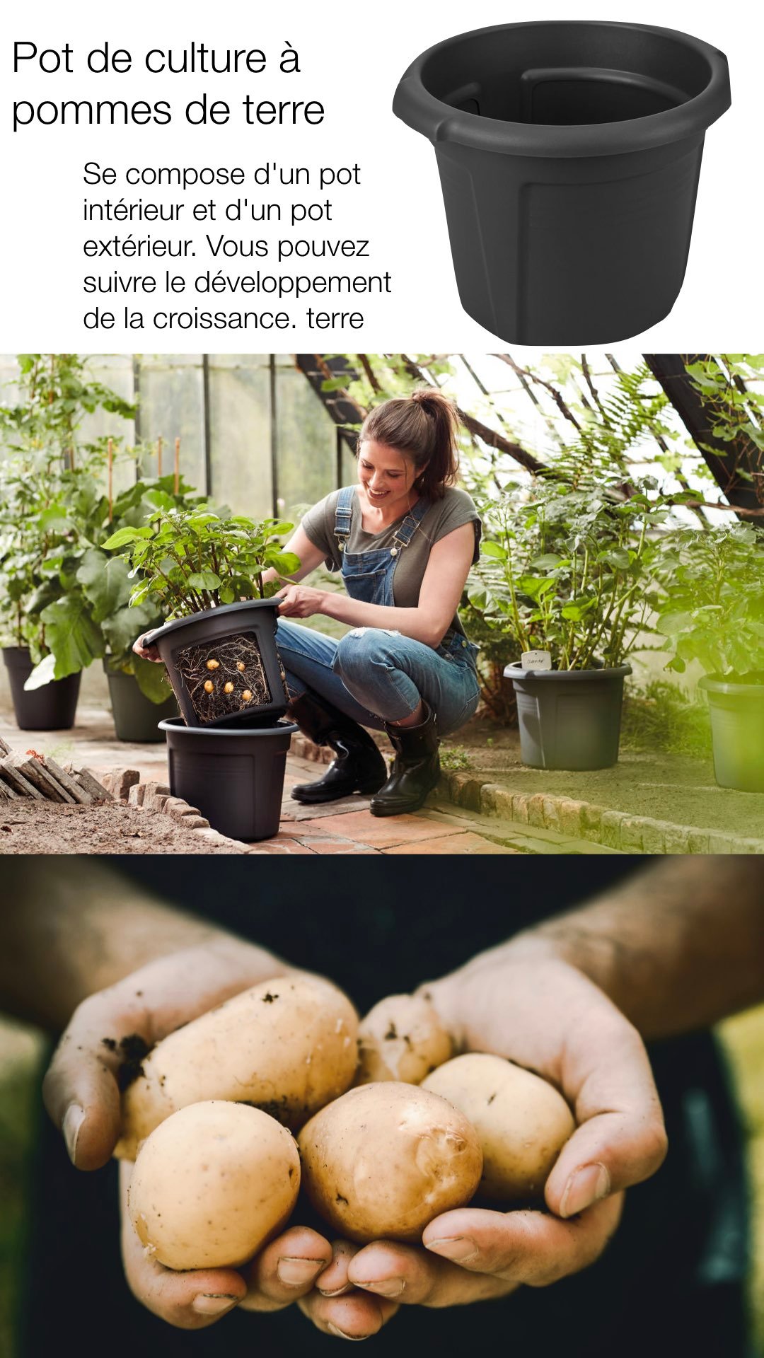 potager en ville culture pomme de terre avis conseil pot elho test