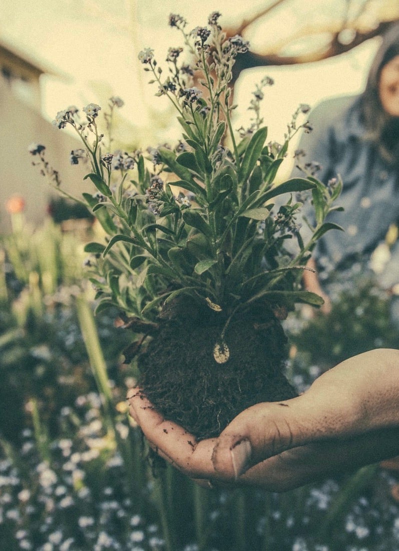 rempoter terre jardin plantation jardiner - blog déco - clemaroundthecorner