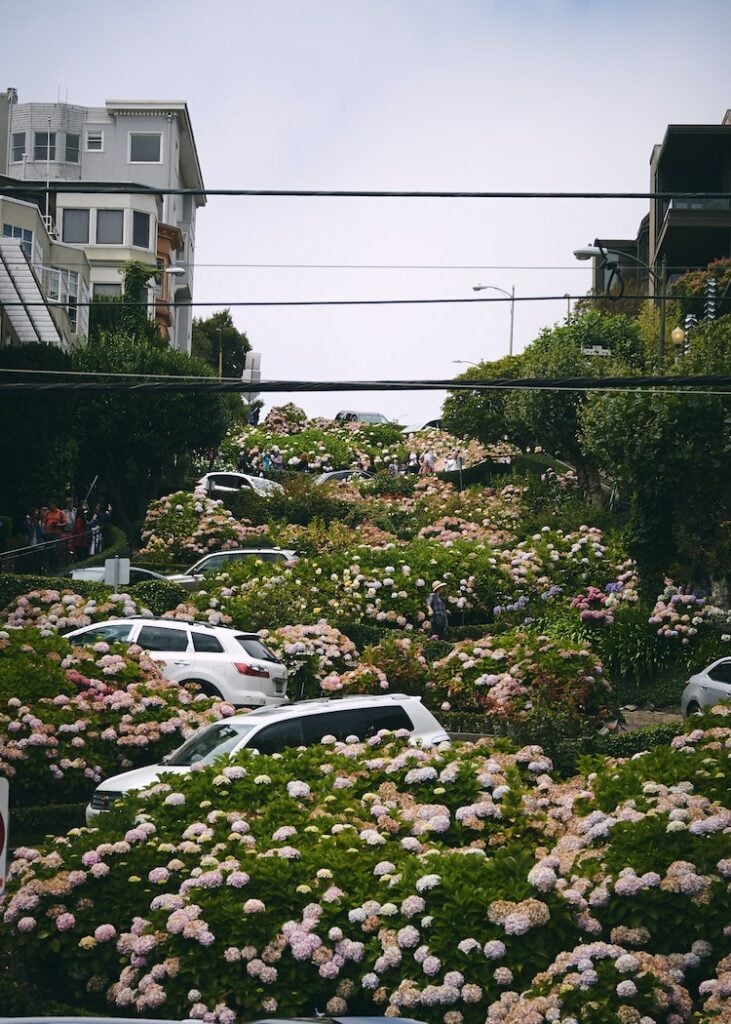 rue zig-zag incroyable San Francisco architecture virage lombard street