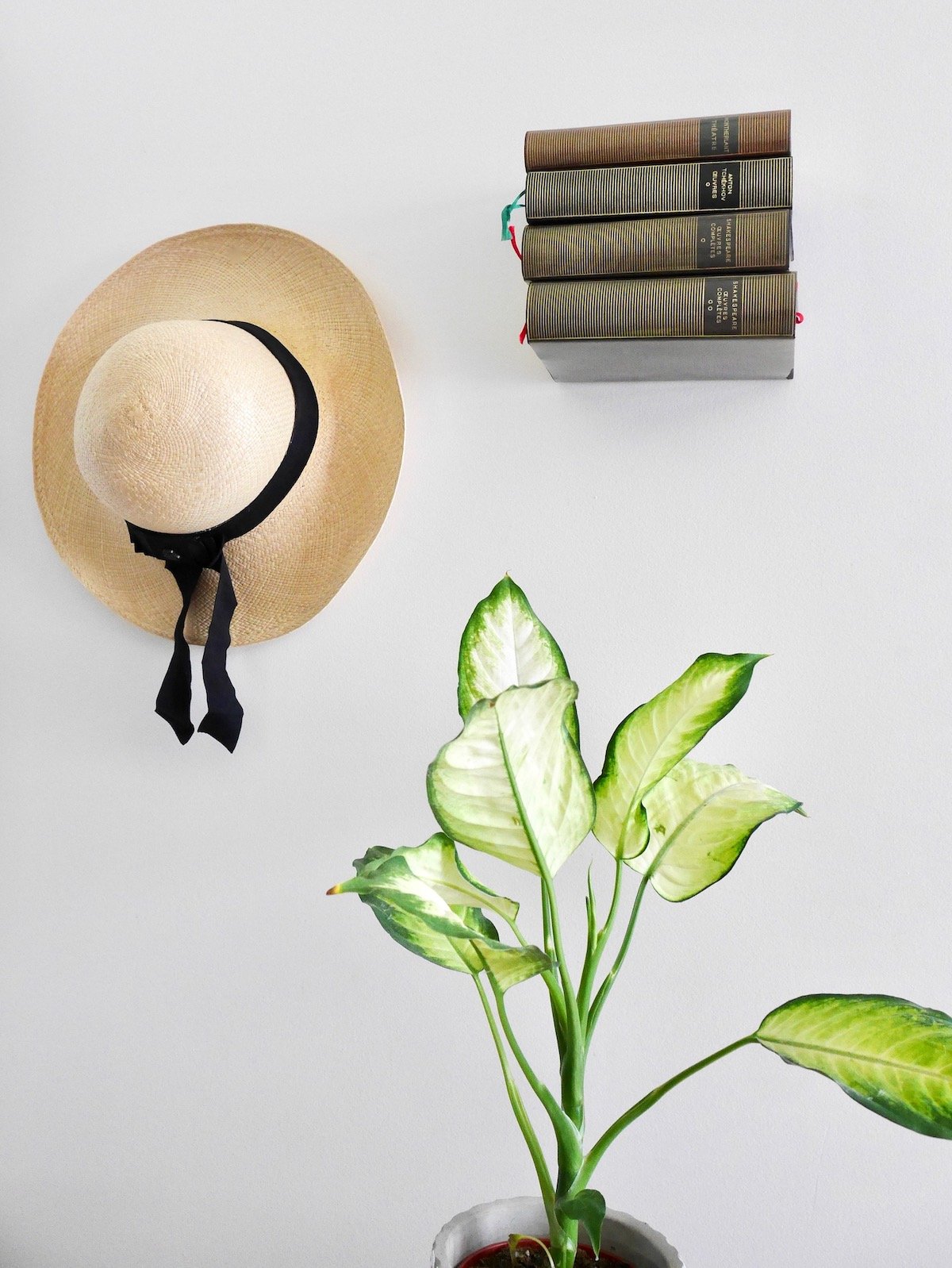 étagère invisible livre suspendu diy magique