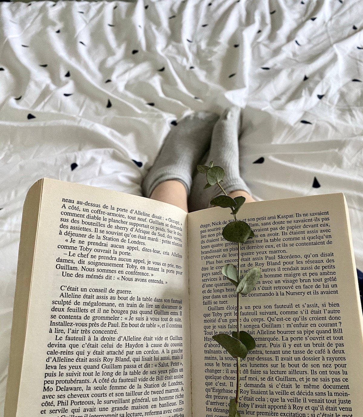 bouquiner au lit marque-page eucalyptus séché lit blanc