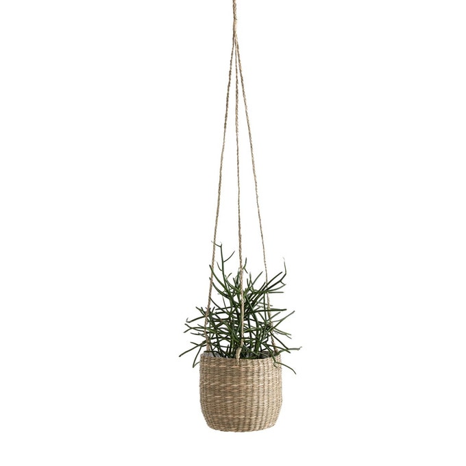 cacher pot herbier à accrocher plafond déco cuisine plante aromatique