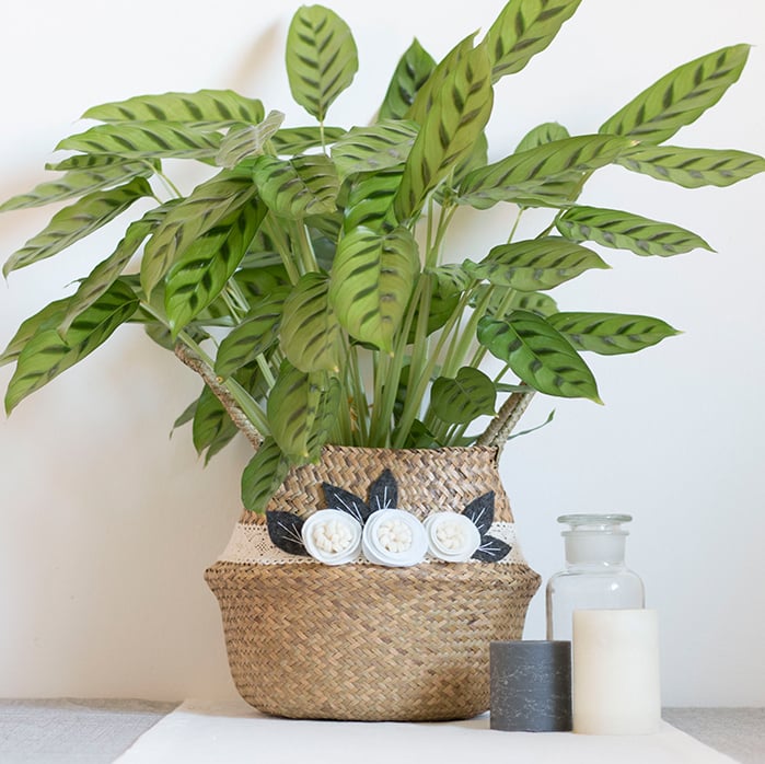 idée deco cache pot panier rangement panier en osier feutrine et dentelle