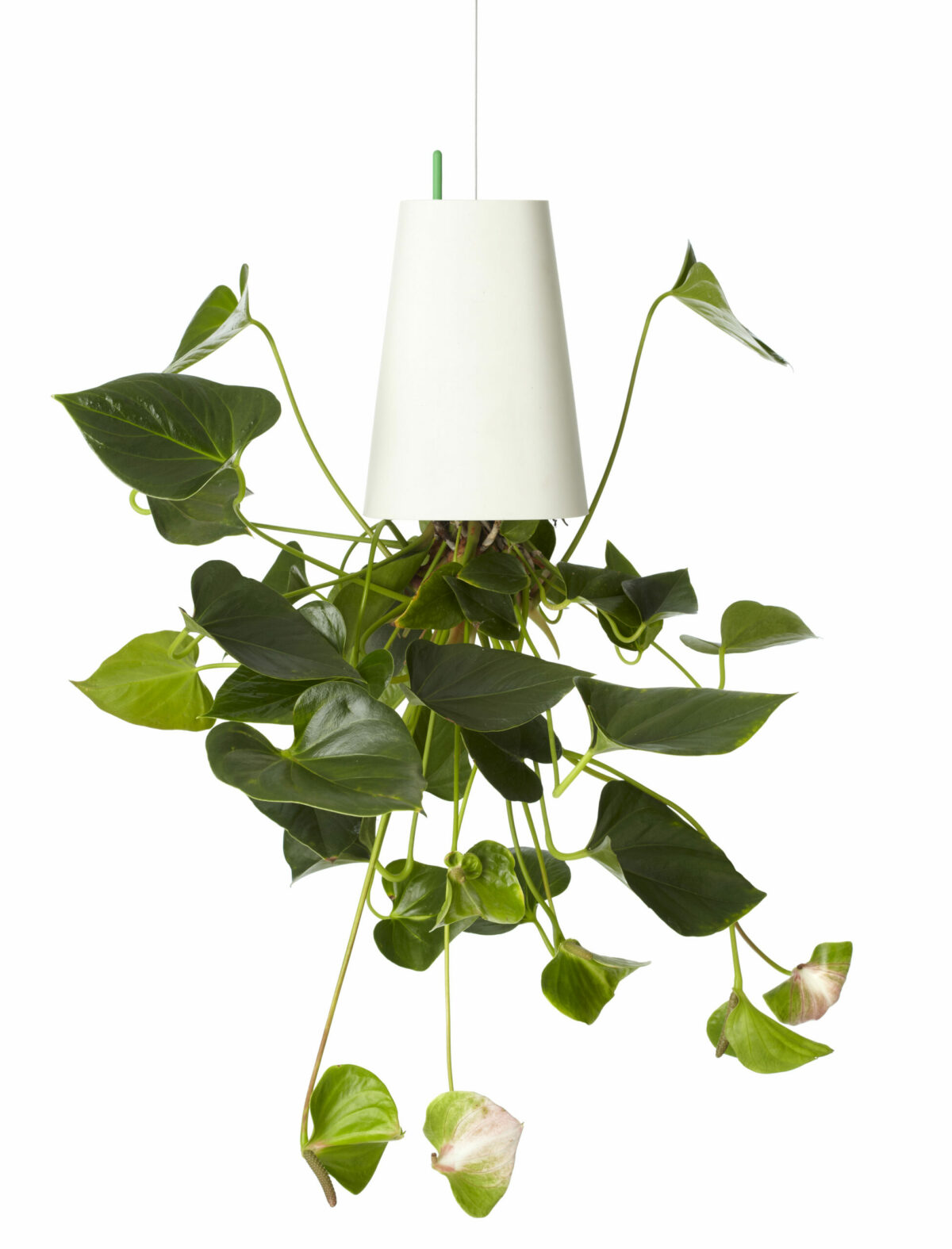 jardinière suspendue tombe plafond illusion déco green plante