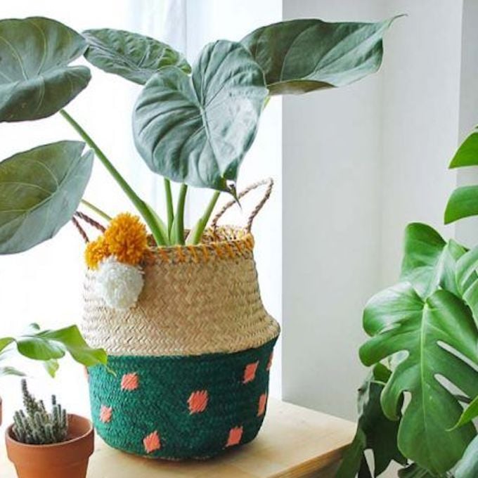 panier cache pot osier bicolor vert orange marron