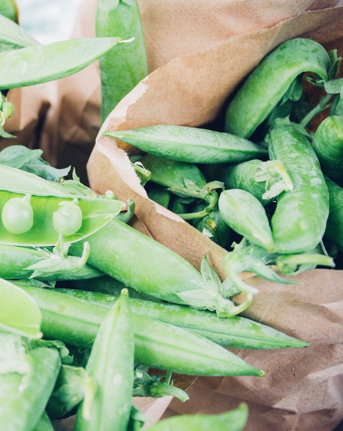 petits pois vert jardinage semis légume entretien - blog déco - clemaroundthecorner