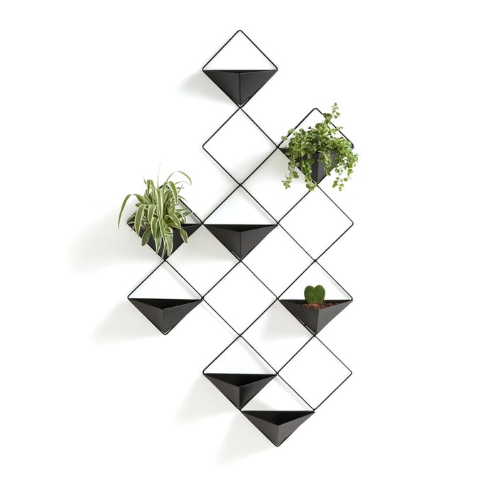 pot succulente graphique mural noir triangle losange pele mêle