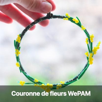 fleur mimosa filmo tuto création déco facile