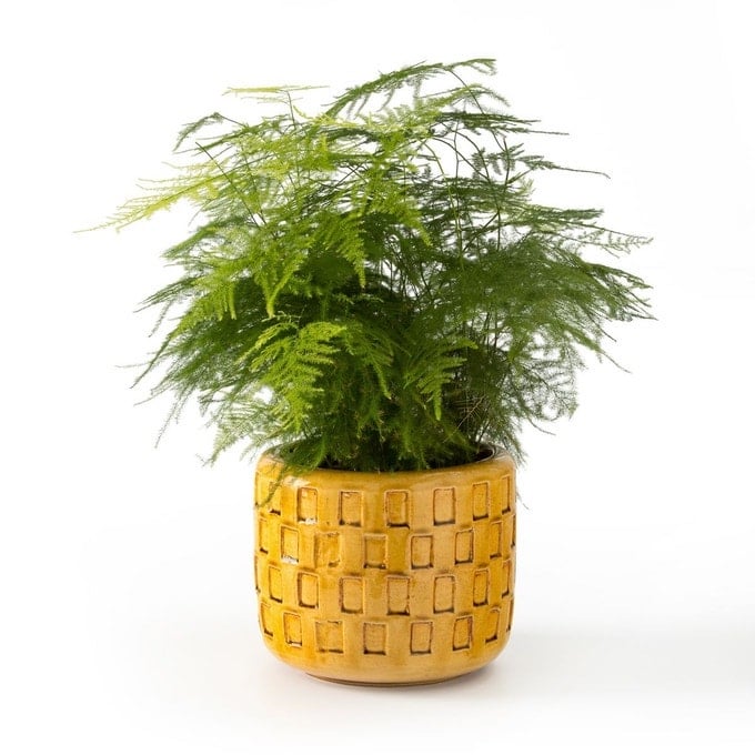 cache-pot déco jaune vif terre cuit relief