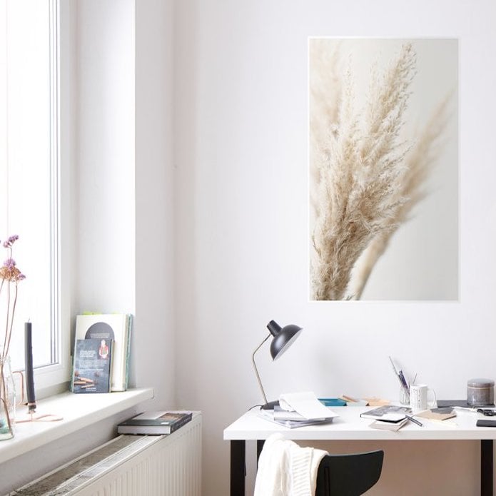 feuille séchée herbe de la pampa bureau blanc