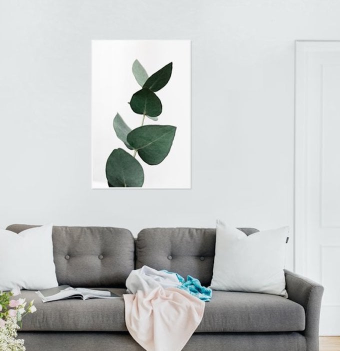 salon canapé gris coussin blanc affiche plante verte