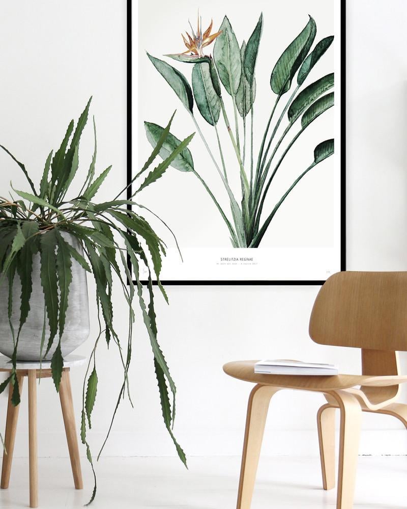 tableau deco urban jungle chaise bois clair