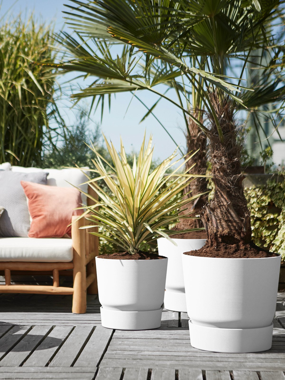 aménagement terrasse palmier bois palette déco