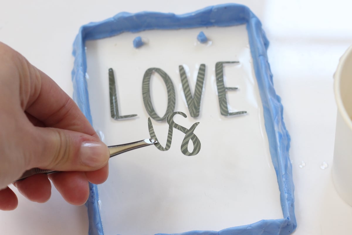 affiche murale transparente inspirée de l'herbier