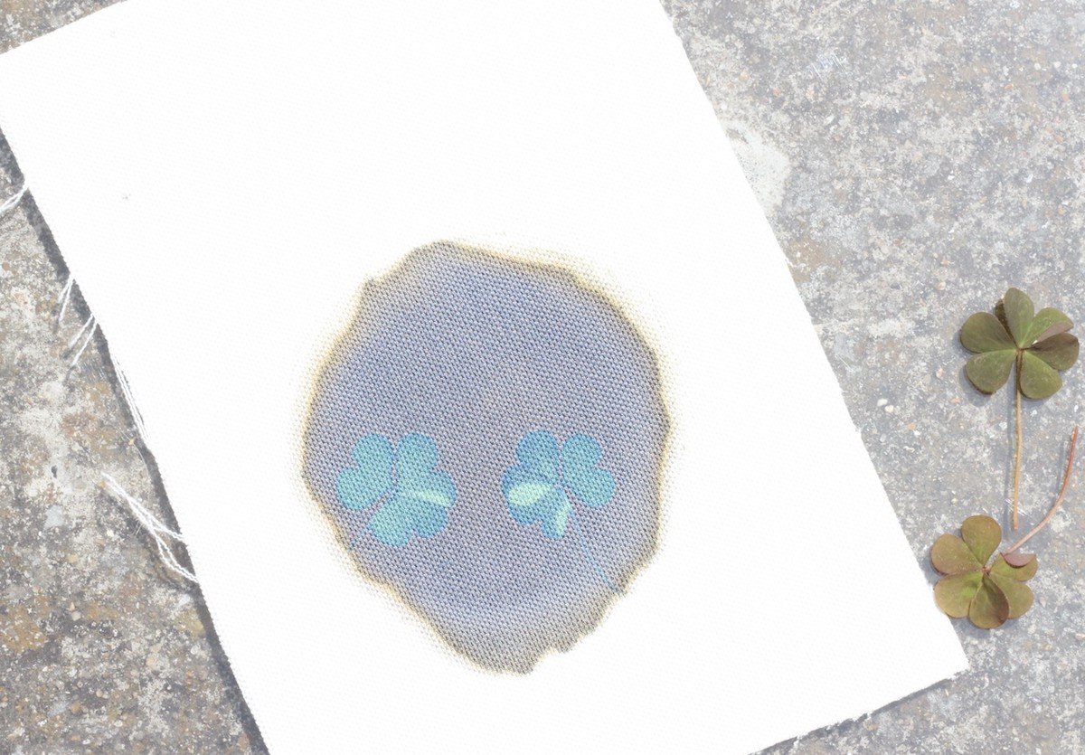 réaction chimique ferricyanure de potassium citrate fer ammoniacal