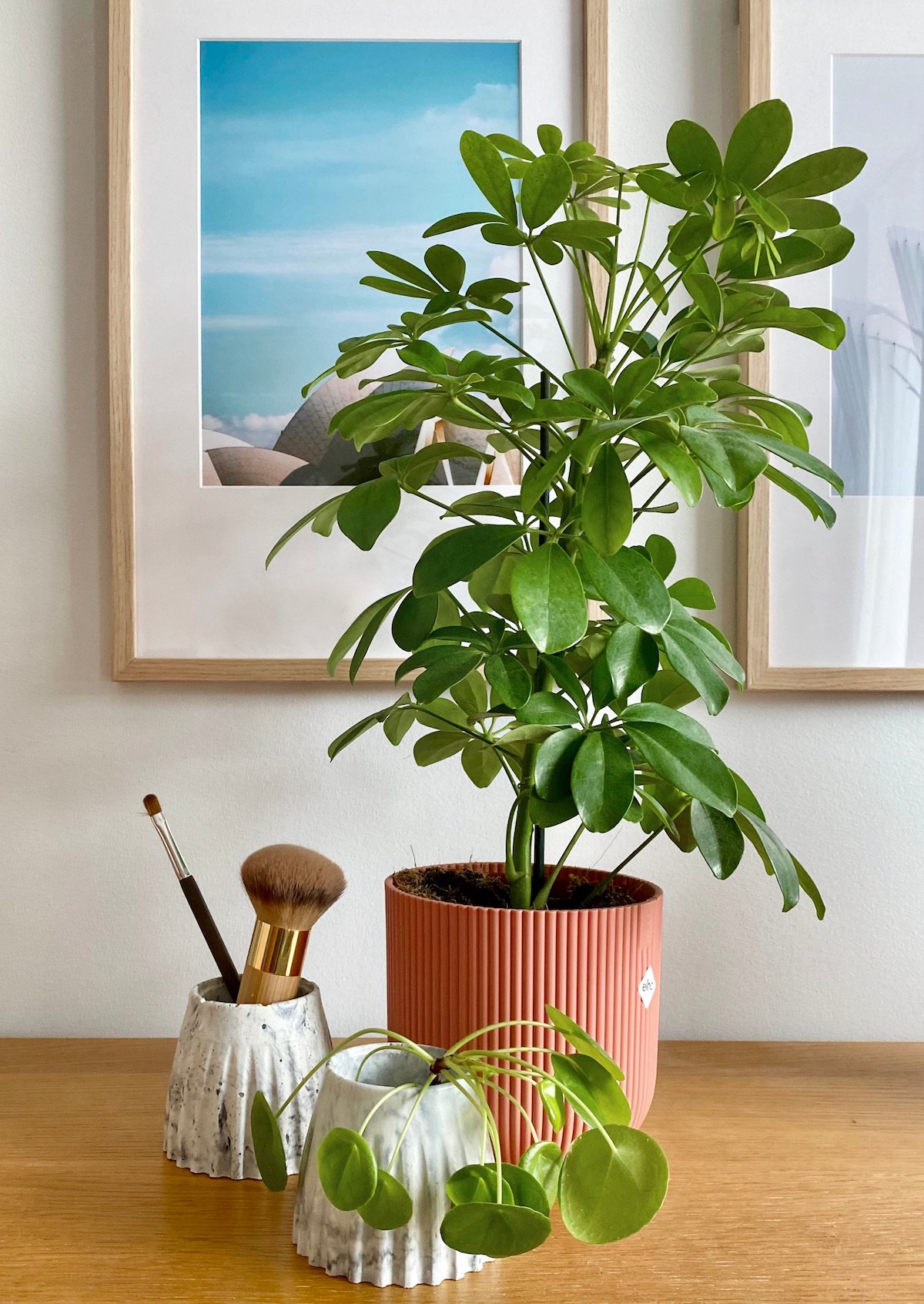 cachet-pot original béton effet plissé rose brique