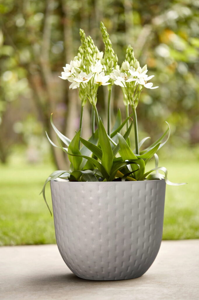 elho fuente jardinière graphique plastique recycle