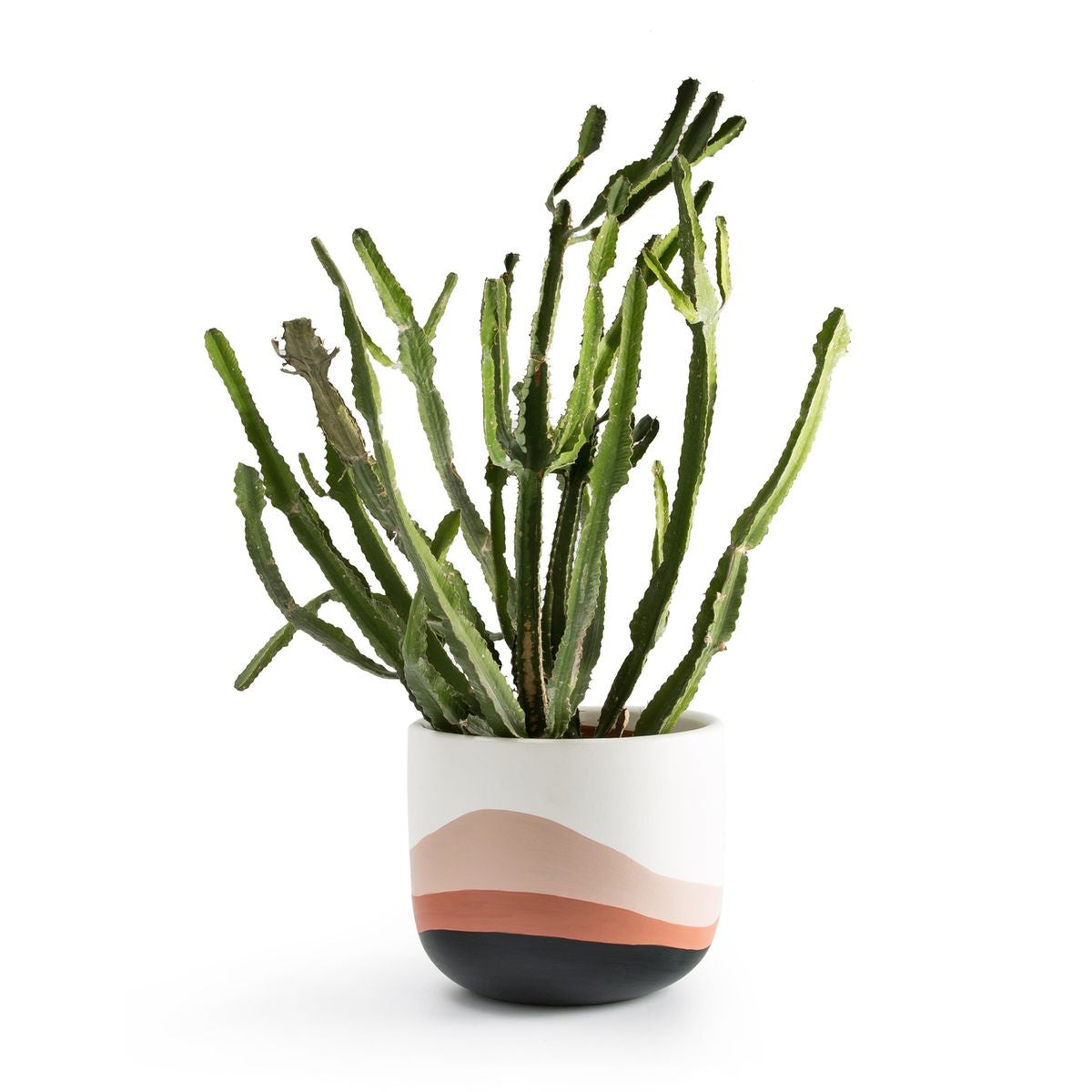 objet déco en céramique cache-pot cactus grand rose