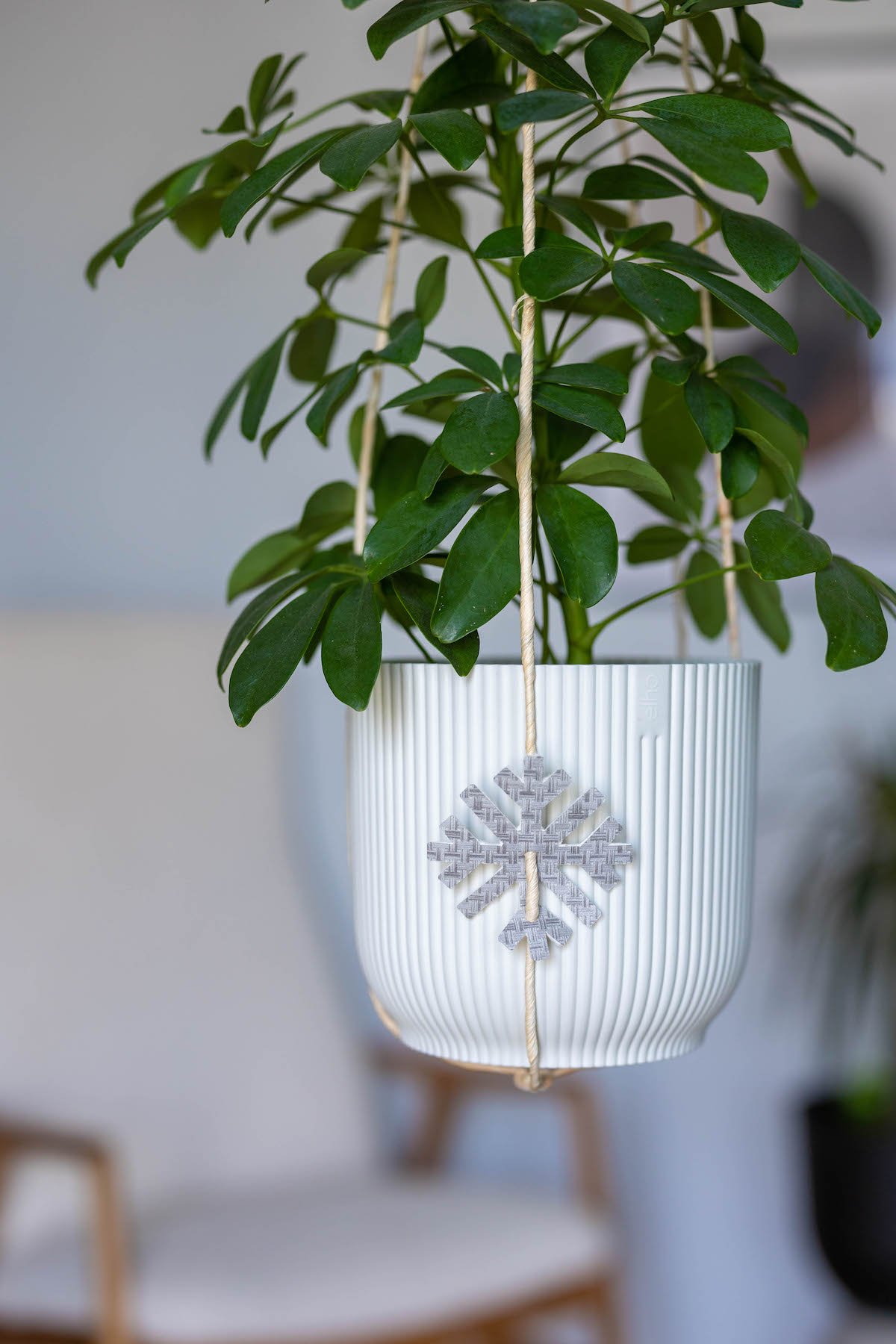 idée original pot cactus Noël flocon vinyle DIY