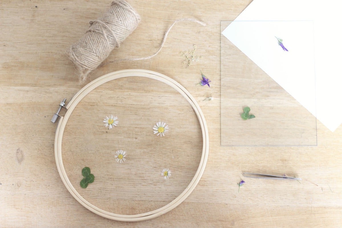 matériel activité enfant bricolage fleurs séchées