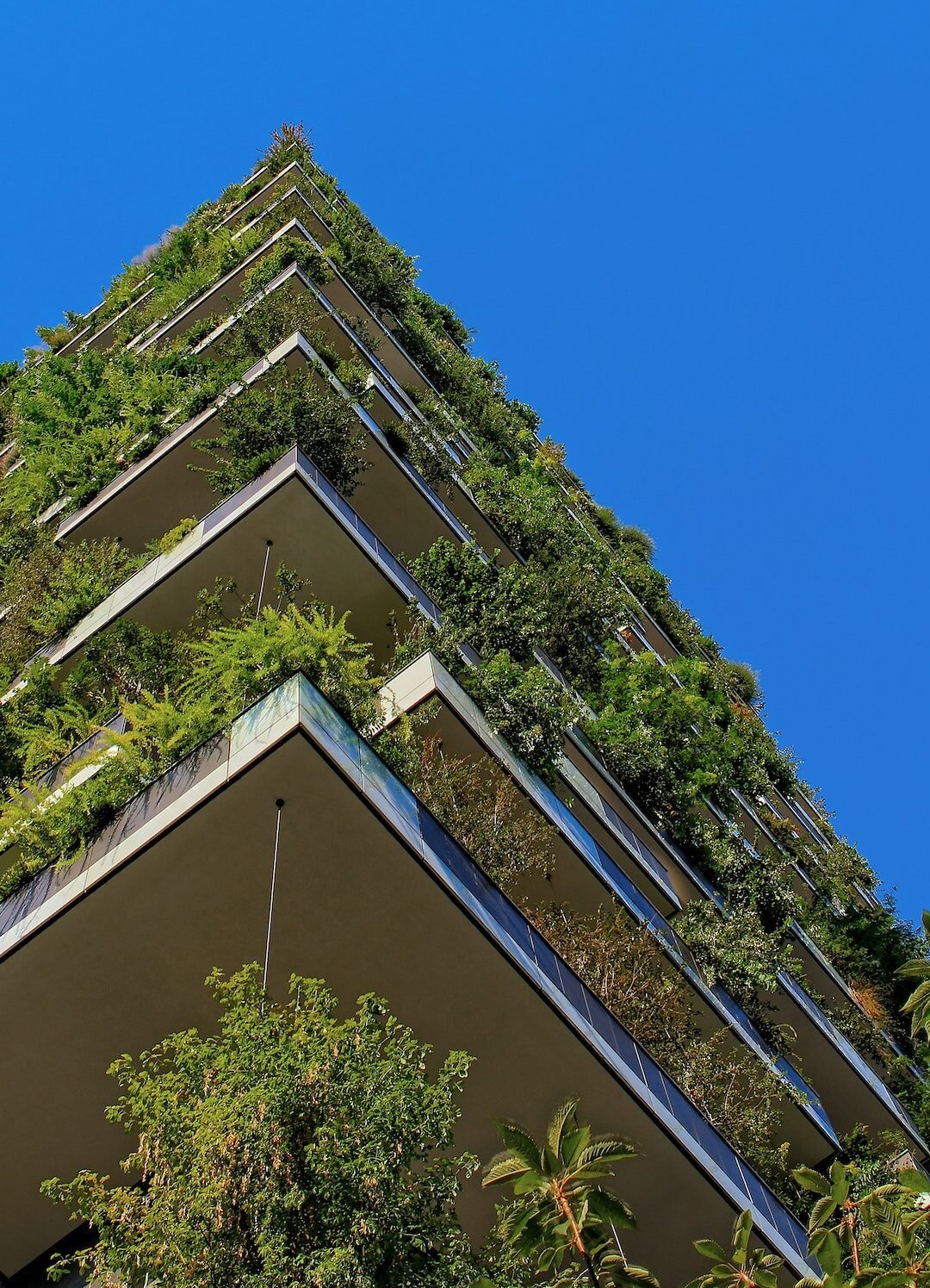 architecture decoration extérieure végétation balcon verdure environnement