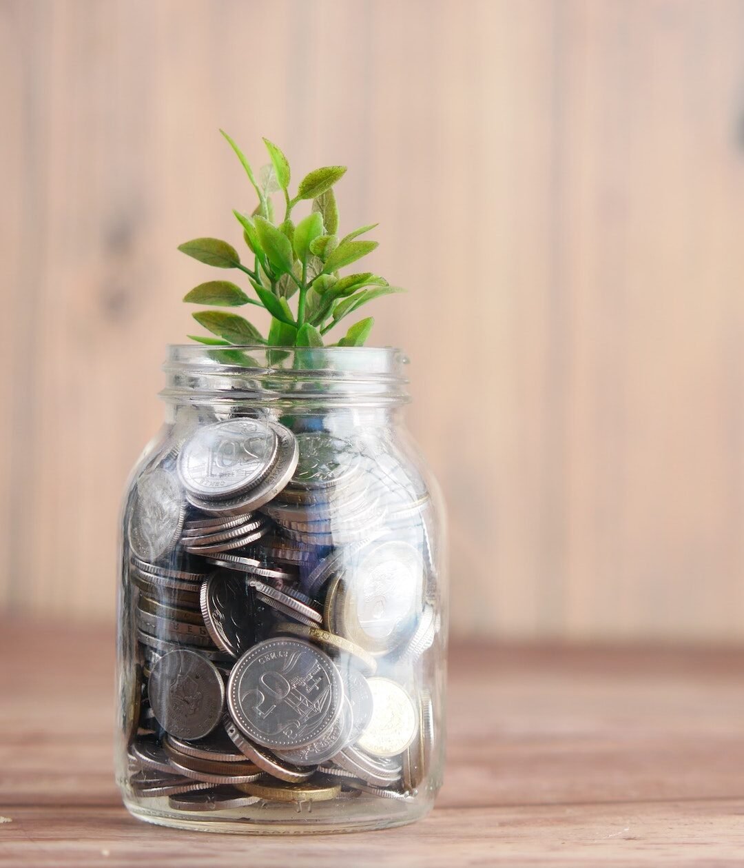 bocal verre argent tirelire plante verte table bois