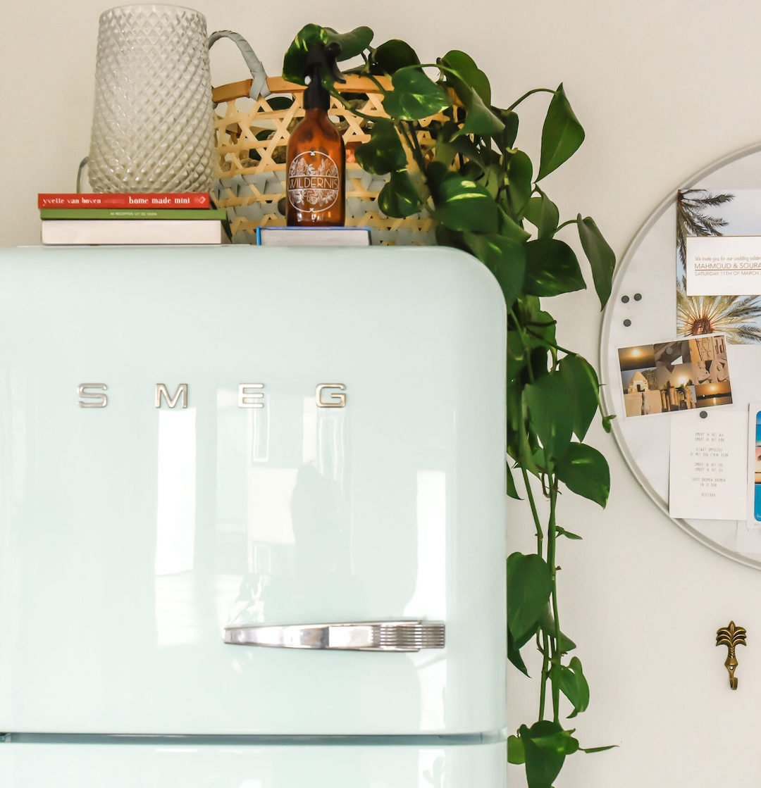 inspi deco intérieure lumineux épurée nature jungle frigo vert jade