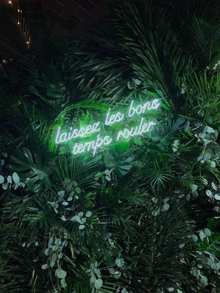 inspiration deco intérieure mur végétal neon blanc