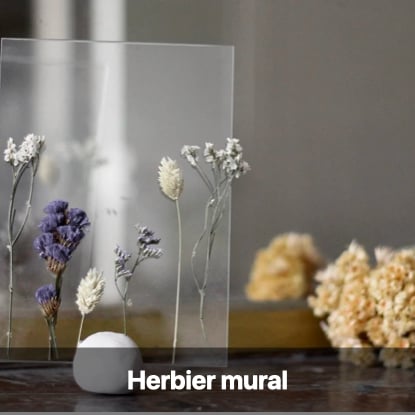 herbier mural cadre invisible activité manuelle