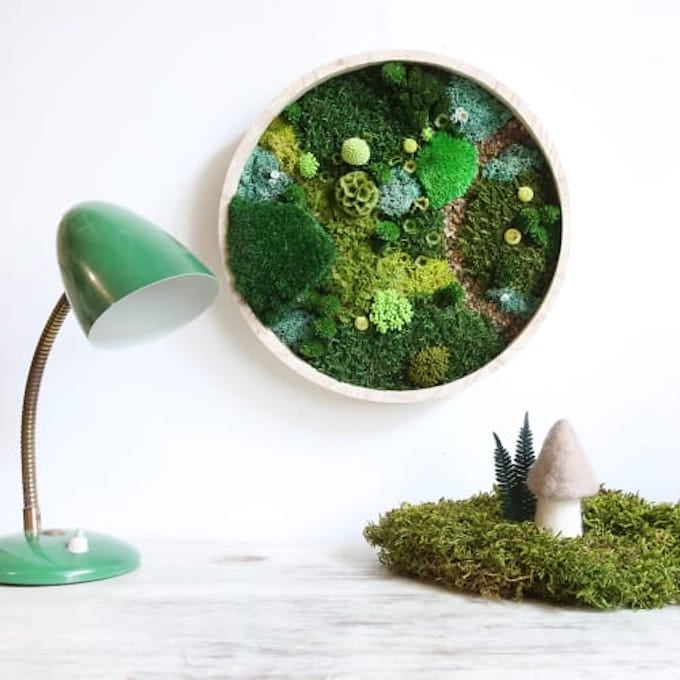 jardiniere murale ronde foret plante verte urban jungle