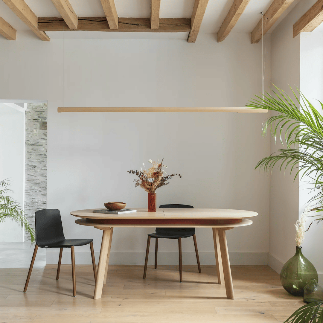 salon poutre en bois apparente chaise plante verte