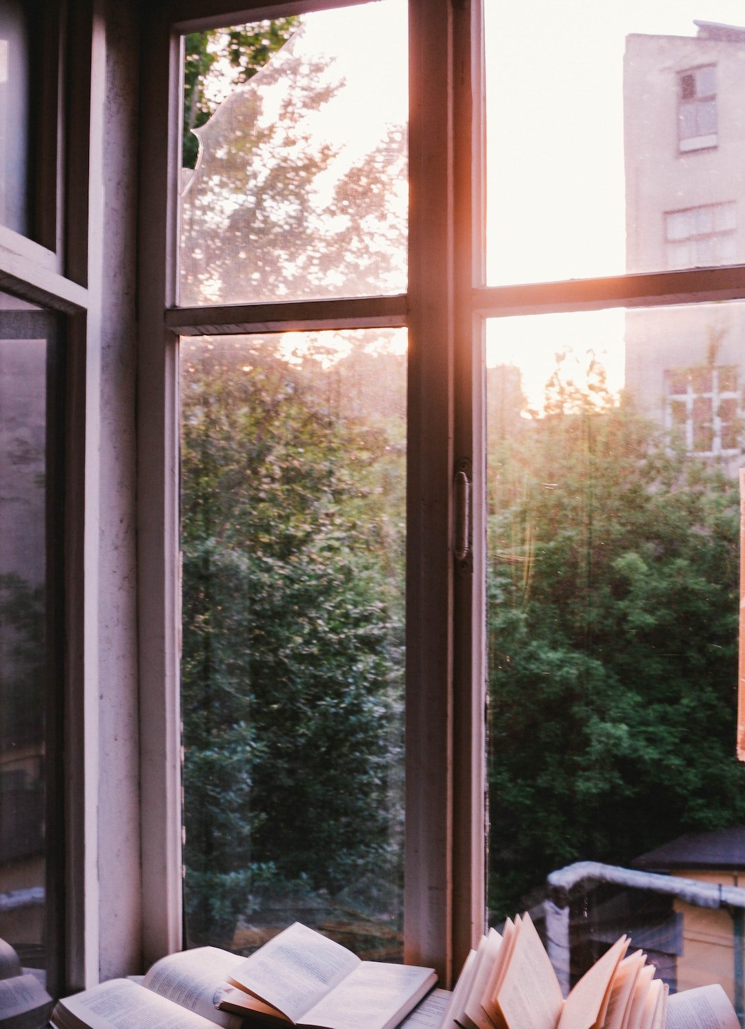 fenetre deco interieure vitre bois