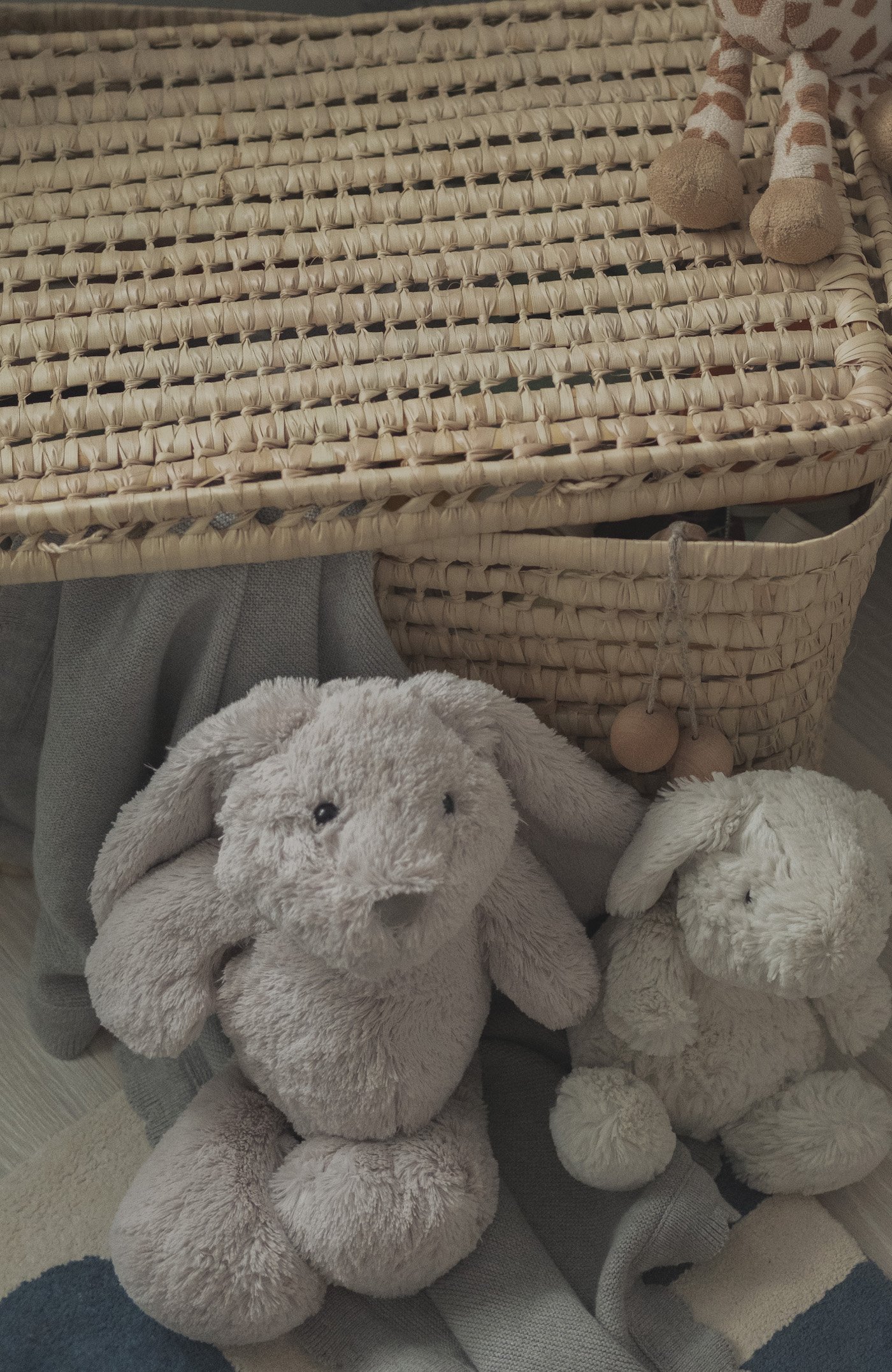 panier jeu osier rotin tressé lapin peluche