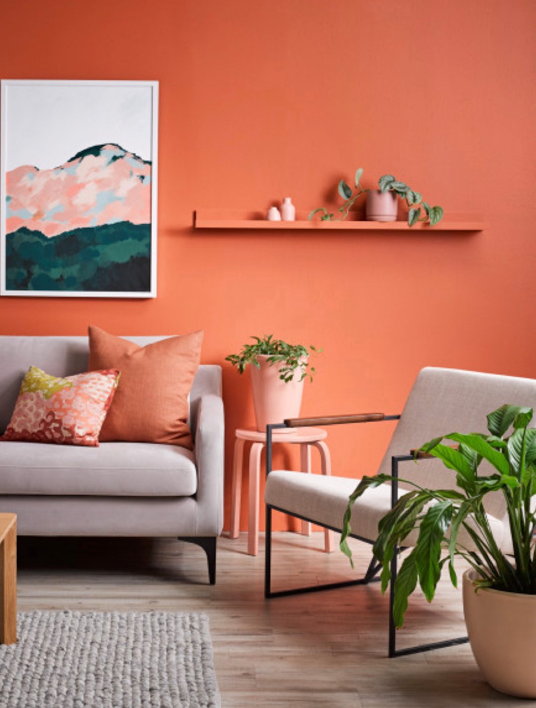 salon couleur terracotta idee deco boheme lumineux moderne