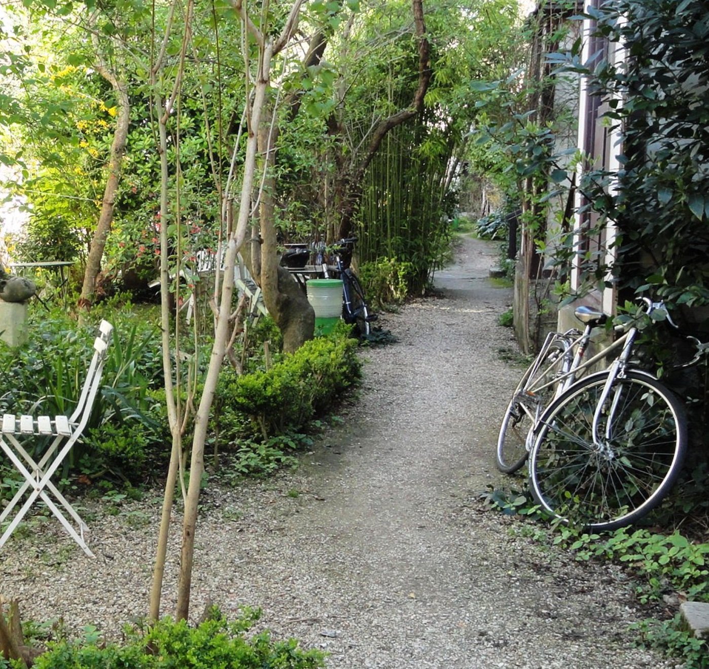 allée bambou plante verte buisson gravier blanc velo