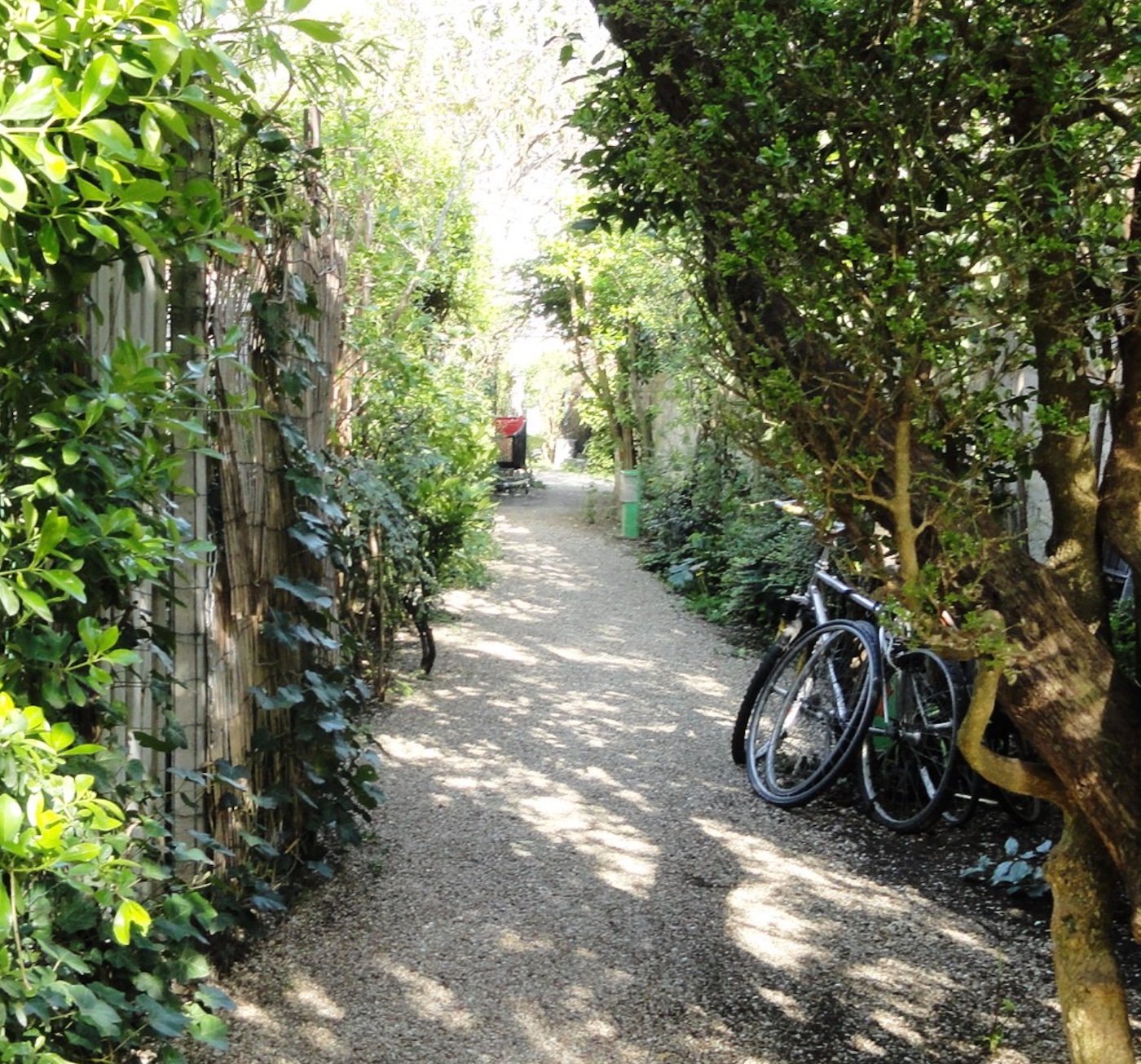 allee gravier pierre blanche velo arbre plante verte